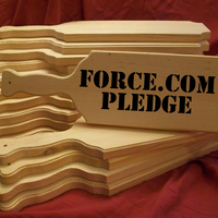 Rite of Passage for Force.com Developers