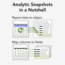 Analyzing Analytic Snapshots