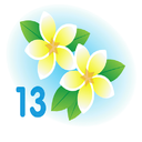 Salesforce Spring 13 Release Notes Rapid Reaction