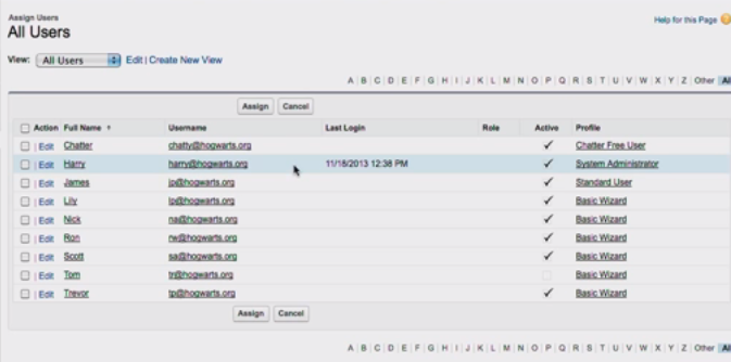 Native Assignment Tool for Permission Sets