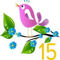 Salesforce Spring 15 Release Notes Rapid Reaction