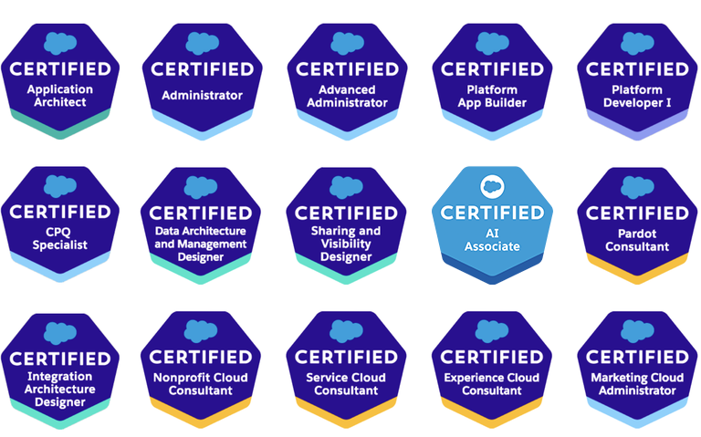 Arkus Salesforce Certified Consultants