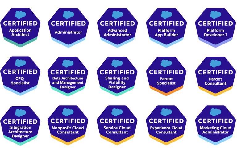 Arkus Salesforce Certified Consultants