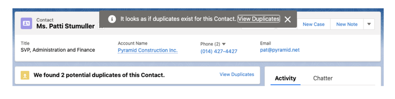 Duplicate Management in Salesforce Image 2