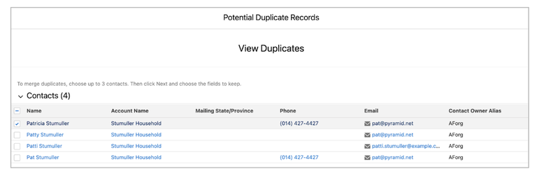 Potential Duplicate Records - View Duplicates Screenshot