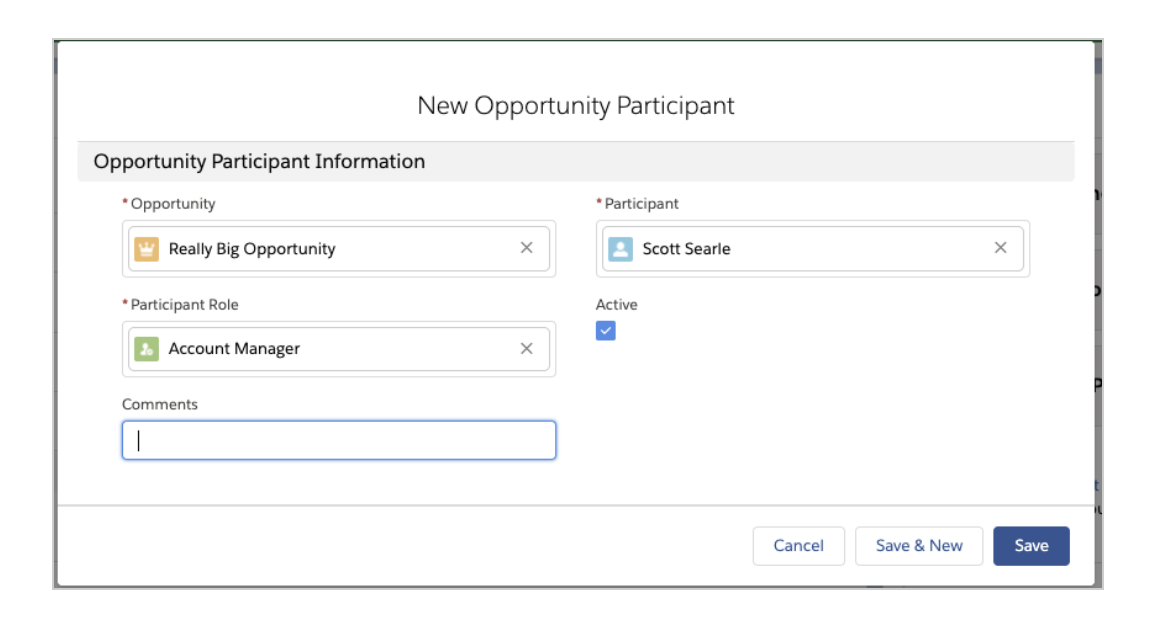 New Opportunity Participant Window