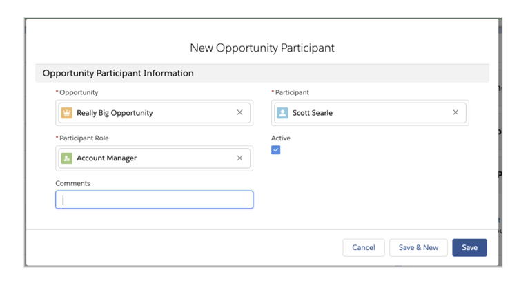 New Opportunity Participant Window