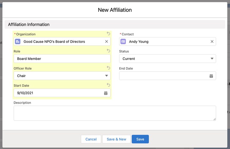 Board of Directors management in Salesforce screenshot one